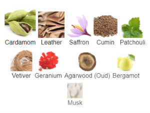 African Leather Memo Paris